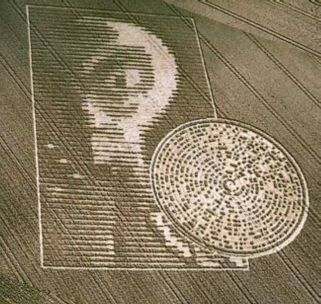 Les crop circles, cachés par la CIA ?